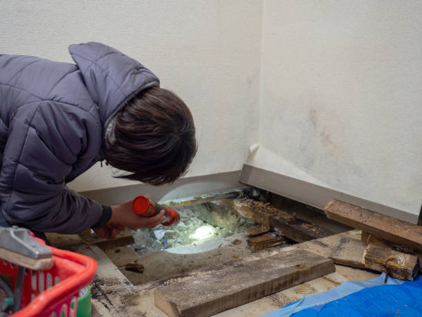 Best Environmental Consulting for Mold Prevention  in Orida Gulf Coast University, FL