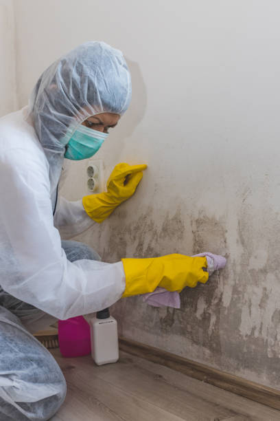 Forensic Mold Investigation in Florida Gulf Coast University, FL